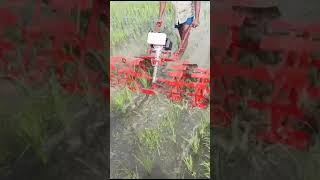 paddy weeder rs 13000 18000 21000 28000 35000 9787672239 melur madurai d TN india🇮🇳🙏3 [upl. by Magas]