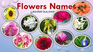 Flowers names in Tamil amp English with images  பூக்களின் பெயர்கள்  Learn flowers name for kids [upl. by Reinold]