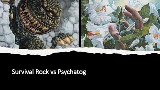 Premodern League  Survival Rock vs Psychatog  62624 [upl. by Vedi]