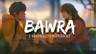 Bawra Slowed  Reverb  Kushagra  Tanishka Bahul  Viraj Editz [upl. by Stanislaw]