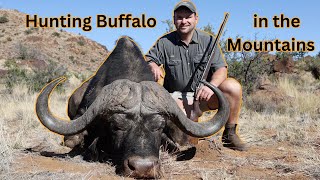 Hunting Buffalo in the Mountains [upl. by Rennie]