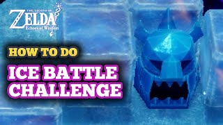 How to Do Blank Slate Battle Ice in Zelda Echoes of Wisdom  Ice Challenge Guide [upl. by Moreta]