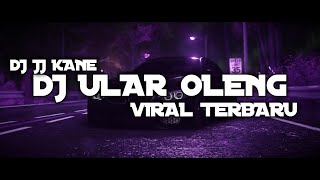 DJ JJ KANE ULAR OLENG VIRAL TIKTOK 2024 [upl. by Sibby926]