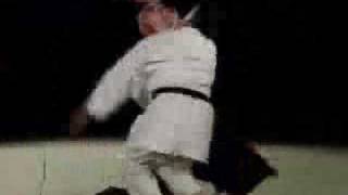 Excellent Aikido Demonstration [upl. by Yerok989]