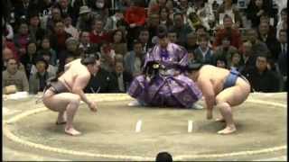 Hakuho vs Kotoshogiku [upl. by Einned]