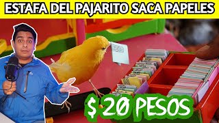 ESTAFA del PAJARITO que saca PAPELITOS DE LA SUERTE en la calle [upl. by Iruy]