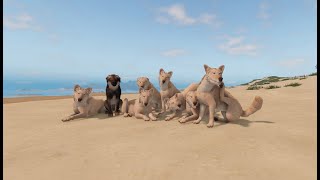 Wolf Pack hunting ELK  Cenozoic Survival  Roblox  cenozoic [upl. by Barnabas]