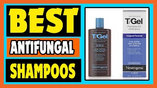 Antifungal Shampoos Top 5 Best Antifungal Shampoos Review [upl. by Ail]