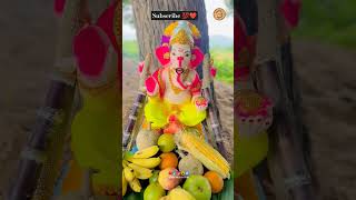 Happy Vinayaka chavithi🥳 happyvinayakachavithi UNBEATABLECULTURE ytshorts viralvideo foryou [upl. by Wesle181]