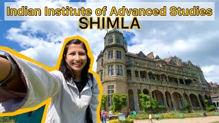 Indian Institute of Advanced Studies Shimla  IIAS Viceregal Lodge  How to reach and why to visit [upl. by Aleafar]