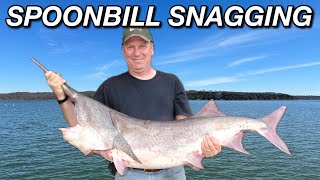 SPOONBILL SNAGGING  Bank Fishing for GIANT PADDLEFISH [upl. by Haydon]