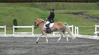 Japan Equestrian Federation L2課目 [upl. by Nonnaihr]