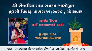 TULSI VIVAAH VARGHODO 2024 SENJALIYA II VARSHA VANZARA LIVE II MDS PHOTOGRAPHY [upl. by Draner]