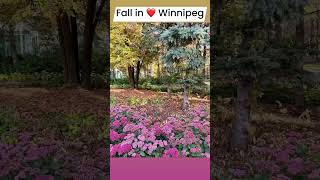 Fall in ❤️with Winnipeg [upl. by Oys]