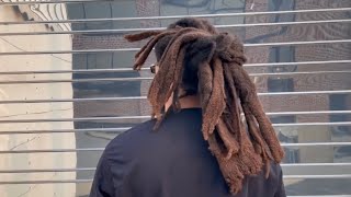 Freeform Locs Update amp ACV Rinse [upl. by Elijah225]