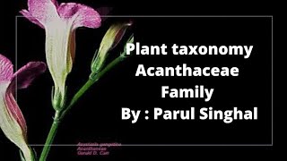 Acanthaceae Family  Acanthus Family   uptgtbiology By  Parul Singhal [upl. by Ailadi]