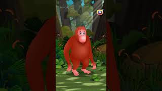 Endangered Animals Part2 animalshorts kidsshorts kidslearning orangutan animals kidsfun funny [upl. by Hobbie]