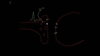 The monoamine theory of depression [upl. by Nimrahc87]