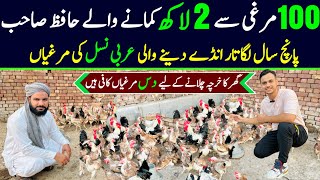 Poultry farm business plan  desi hen farming at home  dandarawi chicken breed  Golden misri [upl. by Enileme]