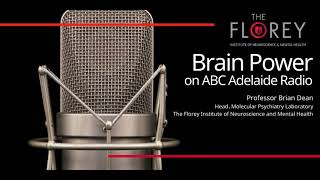 Schizophrenia treatment target 25 years on Professor Brian Dean on Brain Power ABC Adelaide Radio [upl. by Akemak]