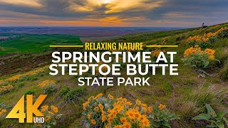 4K Spring Vibe at Steptoe Butte  Relaxing Springtime Sounds with Green Rolling Hills amp Wildflowers [upl. by Aronow176]