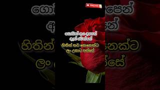 💙💙 SUBSCRIBE 💚💚 කරන්නකො ඉතින් අනේ❤️ boot nisadas sinhala love adara tranding missyou wadan [upl. by Hosea420]