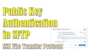 Using Public Key Infrastructure for Authentication Public key authentication in SFTP SSH  FTP [upl. by Ellekim]