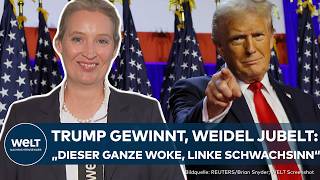 USWAHL 2024 Donald Trump  politisches Vorbild AfDChefin Alice Weidel zeigt ihre Bewunderung [upl. by Waxler]