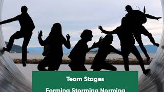 Forming Storming Norming Performing Adjourning [upl. by Boycey]