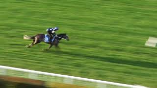 15 October Gallops Gallop 7 [upl. by Izawa95]