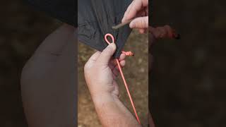 Survival Skills Simple and Useful with EEL Trap survival camping simple outdoors shrots [upl. by Iliram577]