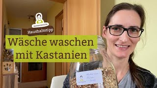 Wäsche waschen mit Kastanien  Natürliches Waschmittel aus Rosskastanien [upl. by Afirahs]