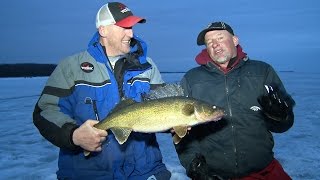 Late Ice GIANT Walleyes Sturgeon Bay [upl. by Mel]