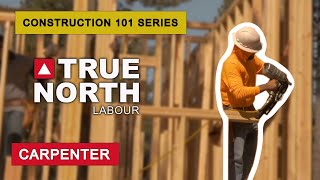 Carpentry  Understanding the Different Types of Carpentry Skills for Your Construction Project [upl. by Assereht]