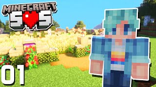 The Best BRAND NEW SMP  Minecraft SOS  Ep1 [upl. by Eilra369]