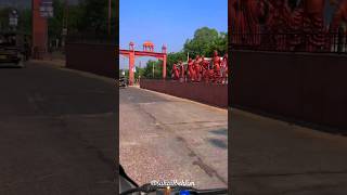 Fatehpur shekhawati  City of Nawabs fatehpurshekhawati travel viralvideo shorts [upl. by Arammahs]