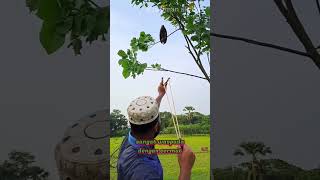 MENEMBAK BERBURU BURUNG LANGKA  KETAPEL TRADISIONAL [upl. by Anecusa]