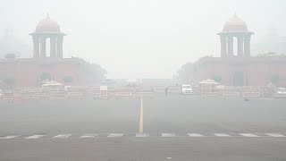 New Delhi continue de tousser dans une pollution asphyxiante  AFP News [upl. by Nae154]