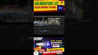 Master Calibration LUTs in Premiere Pro in 60 Seconds 🎨✨ [upl. by Gilmour]