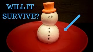 Will it survive Styrofoam Snowman vs Acetone with reverse Melt [upl. by Kraft277]