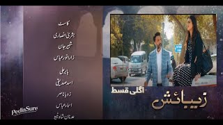 Zebaish  Episode 22  HUM TV  Drama [upl. by Annig]