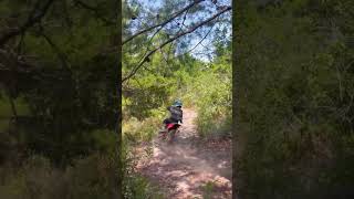 Pit bike track success [upl. by Curnin]