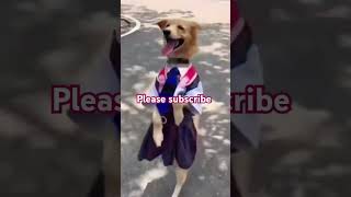 cute love funny shorts video [upl. by Aneri]