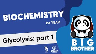 Glycolysis part 1 [upl. by Rye]