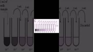 STANDARD PLATE COUNTSPC OF DIFFERENT MILK SAMPLES [upl. by Lrigybab]