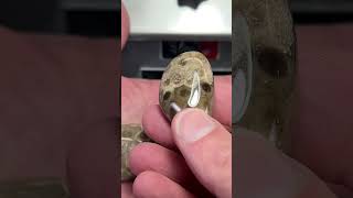 Polishing Petoskey Stones [upl. by Elspet]