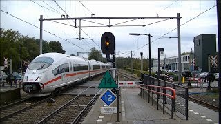 Spoorwegovergang DriebergenZeist  Dutch railroad crossing [upl. by Torrance801]