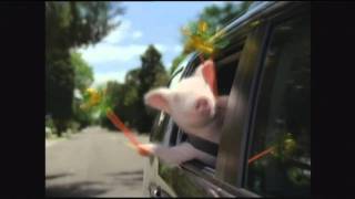 GEICO Commercial  Did the little piggy cry wee wee wee all the way home [upl. by Ecneps]