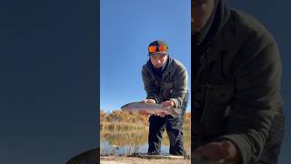 Albuquerque Fly Fishing🎣🔥 fishing newmexico troutfishing fishpond orvis [upl. by Anamuj935]