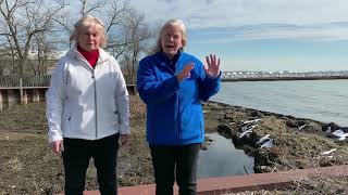 Lake St Clair Lyngbya algae muck study in Macomb County [upl. by Kries250]